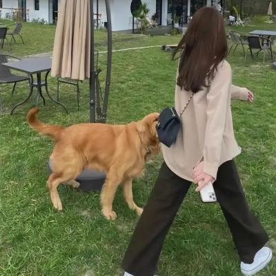 百万新娘之爱无悔